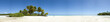 Palm tree and white sand beach panoramic view