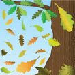 Falling down oak leaves. Falling down oak leaves.