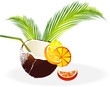 Cocktail Cocco