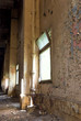 windows windows
