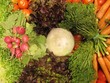Verduras crudas, raw vegetables.