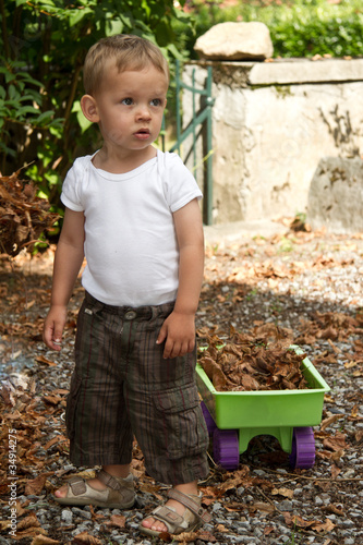 Photo: Ramassage des feuilles Ramassage des feuilles