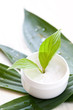 pure Naturkosmetik