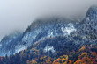 Misty Alps in Autumn