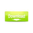 Download button