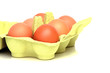 frische Eier