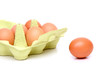 Bio Eier