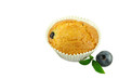 Blaubeermuffin