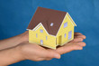 Model house Model house