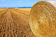 bale of straw on field bale of straw on field
