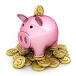 Pig and money