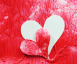 Heart transplant concept