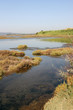 les marais de maguelone, herault les marais de maguelone, herault