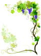 Vineyard frame