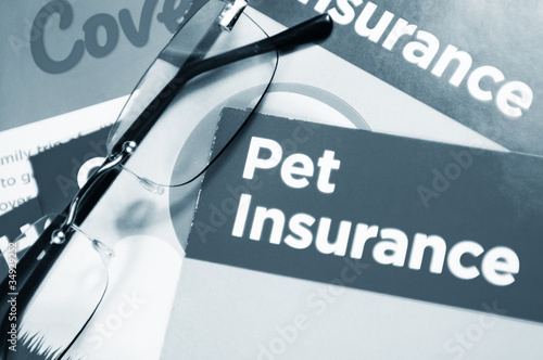 Photo: Pet insurance Pet insurance