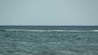 Video: yacht pleine vitess yacht pleine vitess