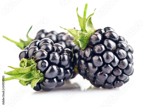Foto: berry blackberry with green leaf berry blackberry with green leaf