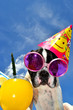 Party