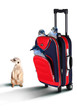 Red suitcase with pinguines inside