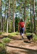 Waldwanderung mit Hund