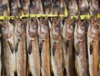 Dried fish for sale