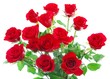 canvas print picture - Red Roses