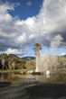 Geyser