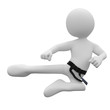 Karate man in combat position III