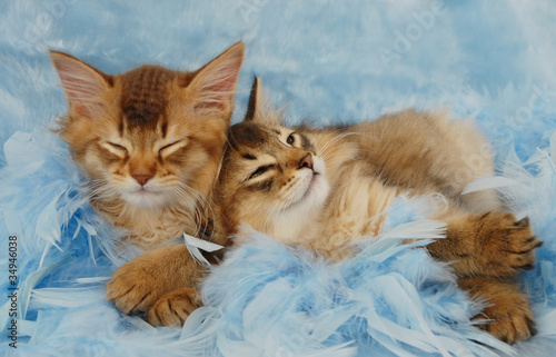 Photo: somali siblings take a nap somali siblings take a nap