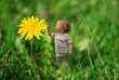 Cute tiny boy playing in the grass