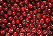 background of closeup fresh cherries background of closeup fresh cherries