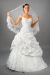 beautiful bride ii wedding suit on the neutral background