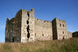 Ruins of a castle
