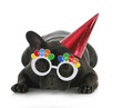 birthday dog