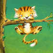 tigre colgado