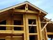 Wood cottage