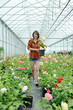 Working in a greenhouse