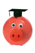 Piggy Bank with Mortarboard