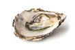 Opened oyster isolated on white background