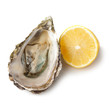 Opened oyster with lemon isolated on white background