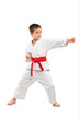 Photo: Full length portrait of a karate child exercise Full length portrait of a karate child exercise