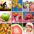Photo: autumn collage autumn collage