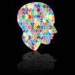 jigsaw head