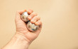 PHYSIOTHERAPIE