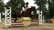 Video: saut d'obstacle 1.1 saut d'obstacle 1.1
