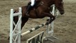saut d'obstacle