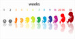 fetus stages