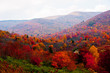 acres of color