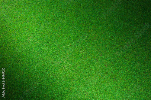 Photo: Real green grass background Real green grass background