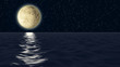 Moonlight reflection.